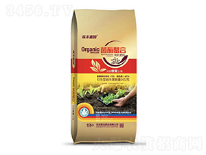 ��ø�����ЙC(j��)����-���S�Έ@-ǰ�طʘI(y��)