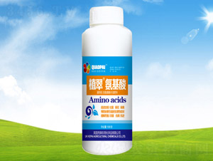 �����᡾ƿ��-ֲ��-�S�r(n��ng)�r(n��ng)��