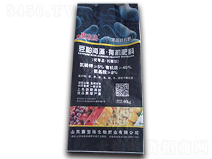 ���ɺ��塤�ЙC(j��)����-ِ����-ʢ�����B(t��i)