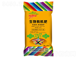 �����ЙC(j��)�ʣ��ʣ�-���Rɽ-�߈@