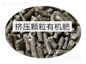 �D���w���ЙC(j��)��-�|���S