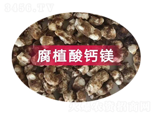 ��ֲ���}�V-�|���S