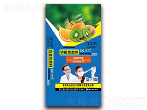 ������͹����Է���20-8-8-�|���S