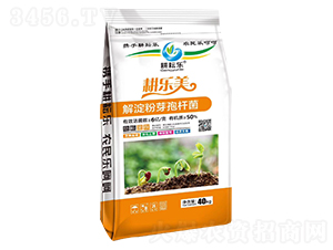 �����ѿ�ߗU��-����(l��)��-���Ř�(l��)