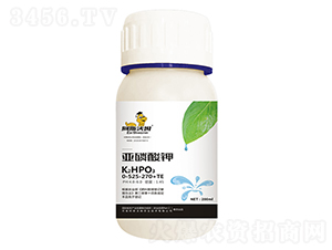 �������0-525-270+TE-��˹��ķ