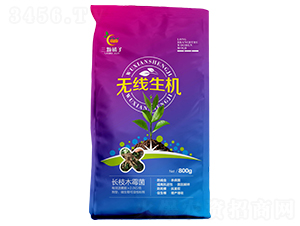 �L(zh��ng)֦ľù��-�o(w��)�����C(j��)-���w����