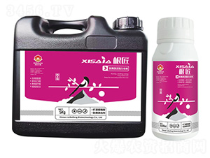 ��������ø�����������-ϲ�ϼ�-����S