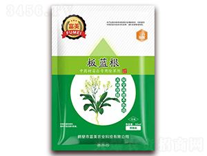 ���{����ˎ�ĳ��݄�-����