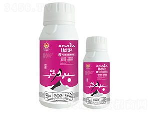 ⁳�ɫ-ϲ�ϼ�-����S