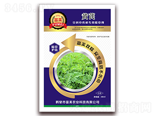 �S�Ρ�����������ˎ�ĳ��݄�-���� 