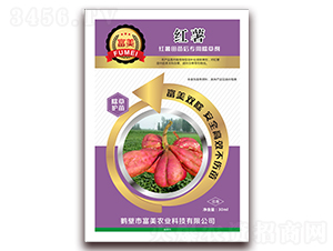 �t�������(zhu��n)�ó��݄�-���� 