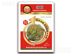 ����������ó��݄�-����