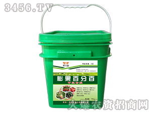 ����ٷְ�-��������