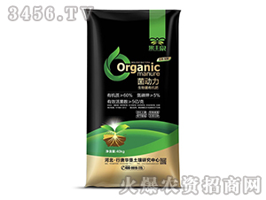 ������ЙC(j��)��-���SȪ-��������