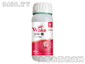 �ֿơ��F-������