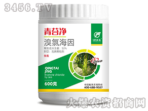 ���Ⱥ���-��̦��-������