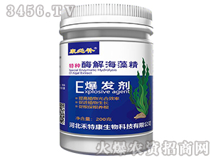 ø�⺣�徫-�����a(b��)-���ؿ�