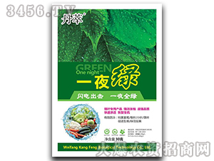 һҹ�G-����-����