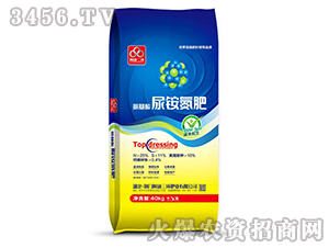 ���������@����-���S