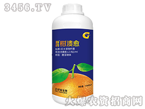 �ݲݡ��޴�ѿ�ߗU��-��ˎ�̝���-���ý�