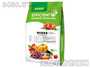 �G�~����أ����ܹ��ߌ��ã�-��������