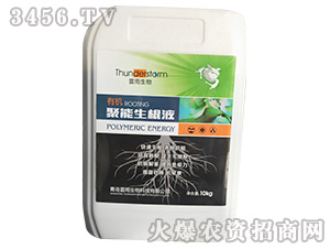 有機(jī)聚能生根液-雷雨生物