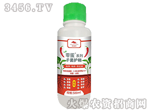 �ݲݡ����¡��K�ƽ�-ǧ���o(h��)��-������-�f(w��n)�ڿ�