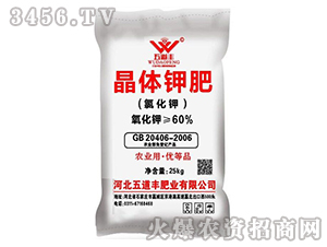 ���w⛷ʣ��Ȼ�⛣�-����S