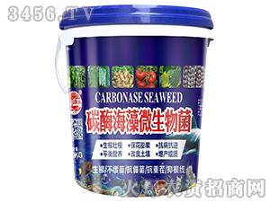 ̼ø����΢�����-��@���S-���S�ʘI(y��)