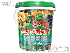 ����̼����ø-��@���S-���S�ʘI(y��)