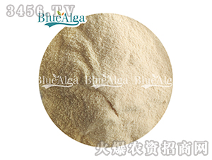 �~���ף��ۄ���-���u�{(l��n)��