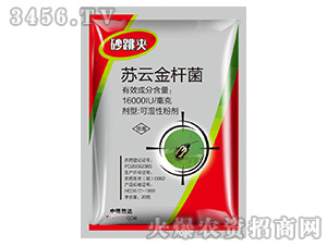 �K�ƽ�U��-ɰ���A-��¡���_(d��)