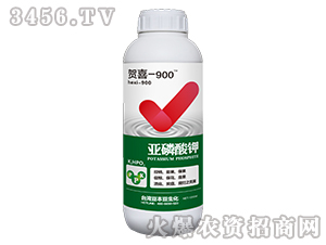 �������-�Rϲ-900-�_(t��i)��������