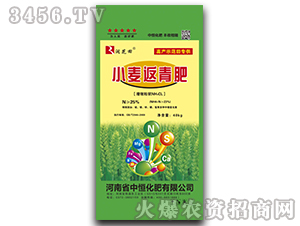 小麥返春肥-潤芝田-中恒