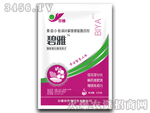 �S��С�����~�⺦�ޏ�(f��)���-����-Ǭ�r(n��ng)