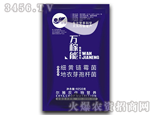 ΢��̼�儩-�f(w��n)����-Ǭ�r(n��ng)