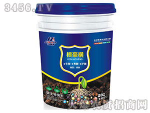 ������΢�������-�����M-��ķ˹��