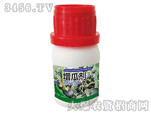 �Ϲό������τ�-��������