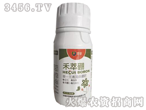 ������-��һԪ�����w���-����