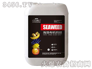 �����ЙC(j��)�}�V-ِ������