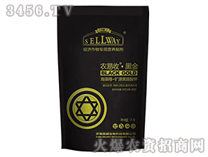 ��(j��ng)��(j��)���(zhu��n)�àI(y��ng)�B(y��ng)�Ƅ�-�r(n��ng)����-ِ������