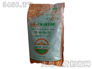 ����Ԫ��ˮ�ܷ�19-19-19+TE-����(r��n)����