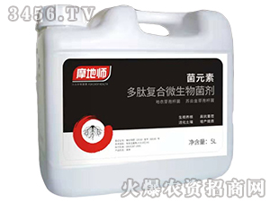 ��Ԫ�ض��ď�(f��)��΢�������-Ħ�؎�-�������r(n��ng)