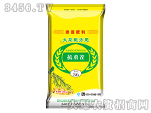 ���䷽��-���ز�-���r(n��ng)ʥ�S