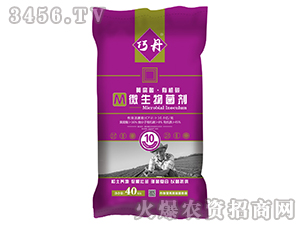 10�|�S�����ЙC(j��)̼΢�������-�ɵ�