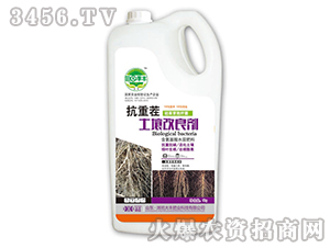 ���ز�����������-��@���S-���S�ʘI(y��)