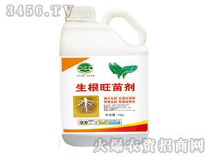 �������焩-��@���S-���S�ʘI(y��)