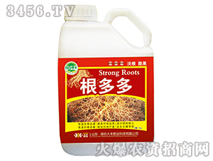 �����-��@���S-���S�ʘI(y��)