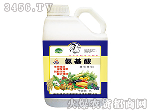 ���������~�\�f-��@���S-���S�ʘI(y��)