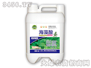 ������-��@���S-���S�ʘI(y��)